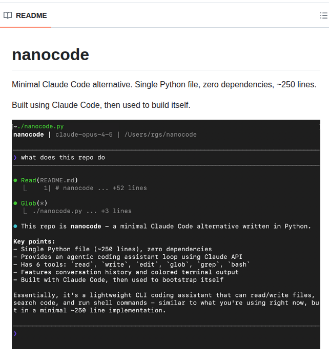 1rgs Nanocode screenshot