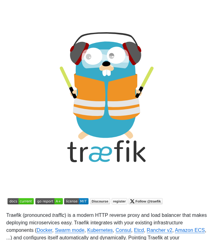 Traefik Traefik screenshot