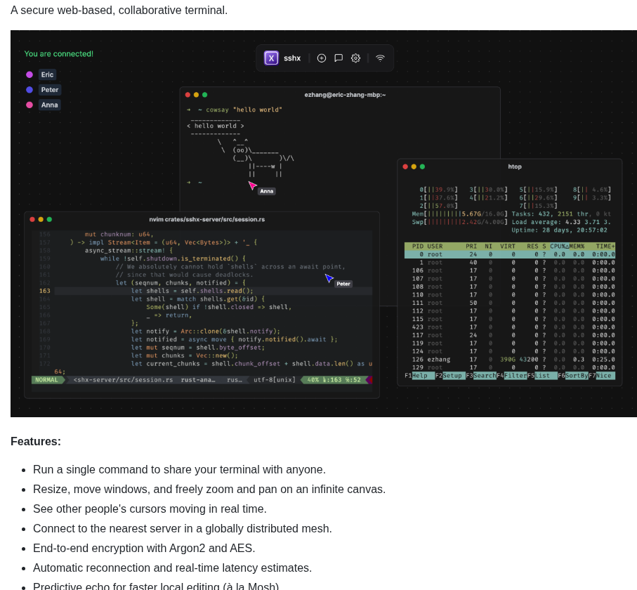 Ekzhang Sshx screenshot