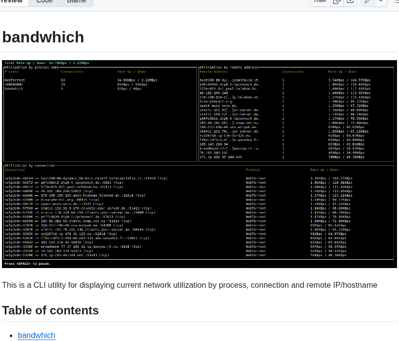 Imsnif Bandwhich screenshot