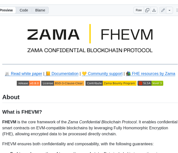 Zama Ai Fhevm screenshot