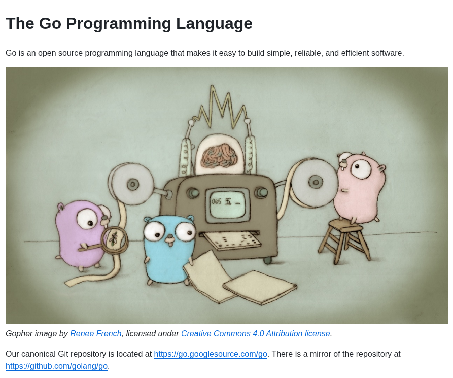 Golang Go screenshot