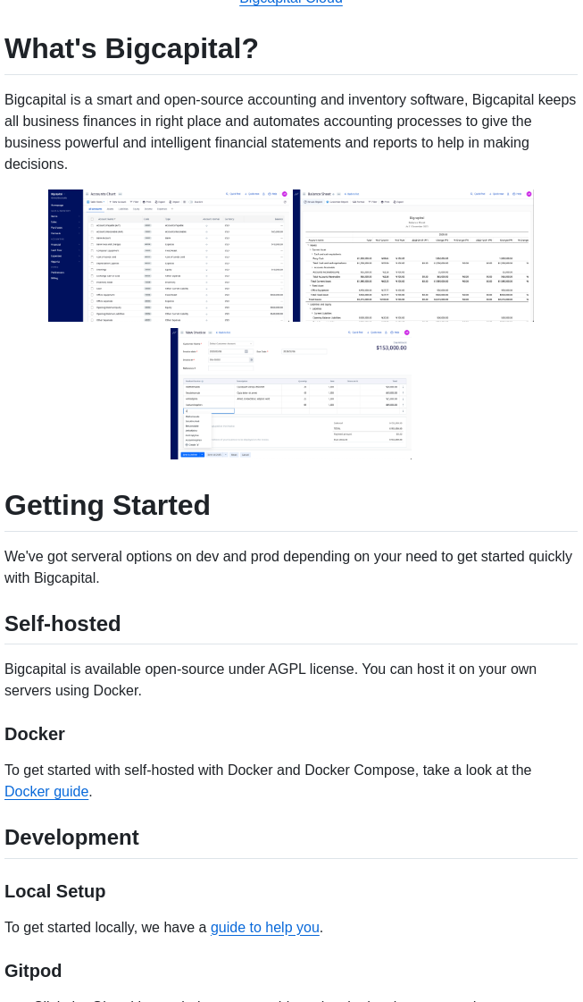 Bigcapitalhq Bigcapital screenshot