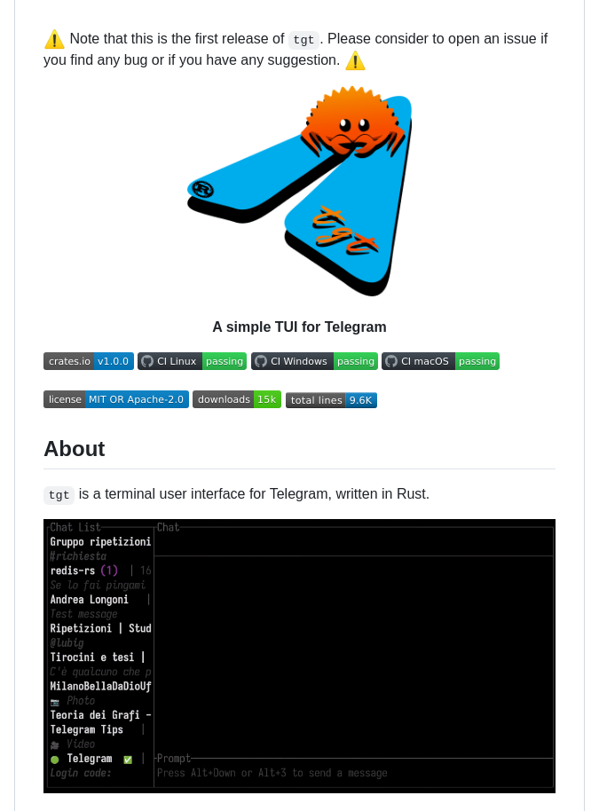 Federicobruzzone Tgt screenshot