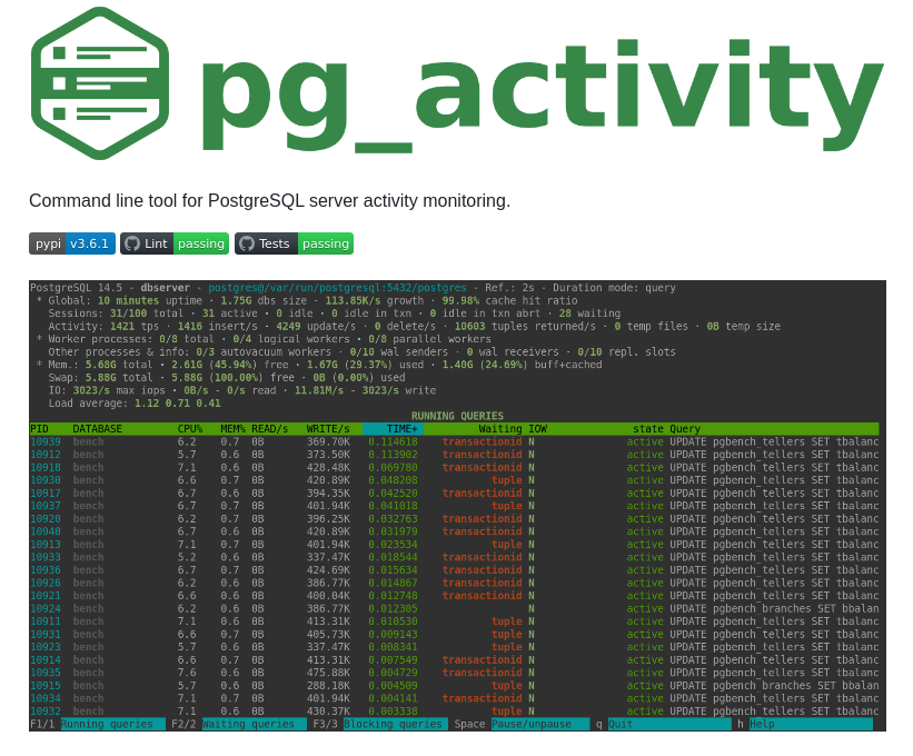 Dalibo Pg_activity screenshot