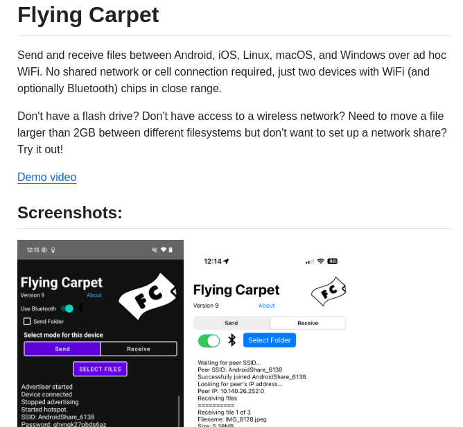 Spieglt Flyingcarpet screenshot