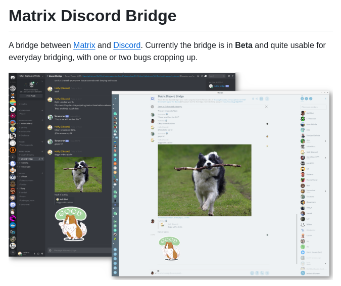 Matrix Org Matrix Appservice Discord screenshot