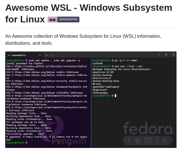 Sirredbeard Awesome Wsl screenshot