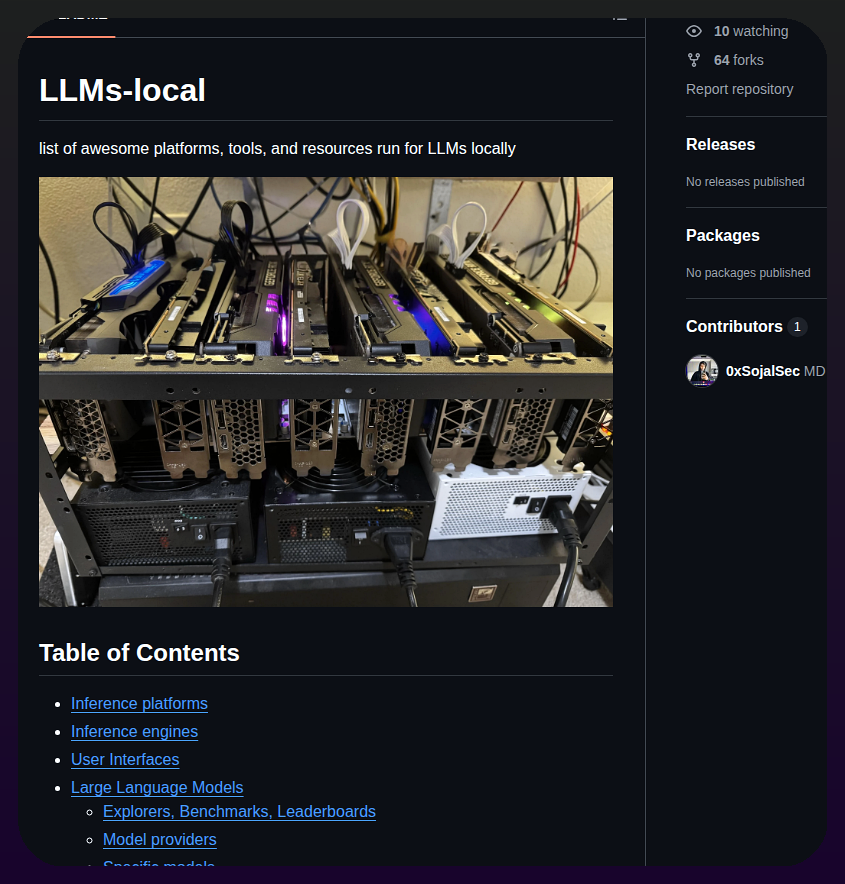 0xsojalsec Llms Local screenshot