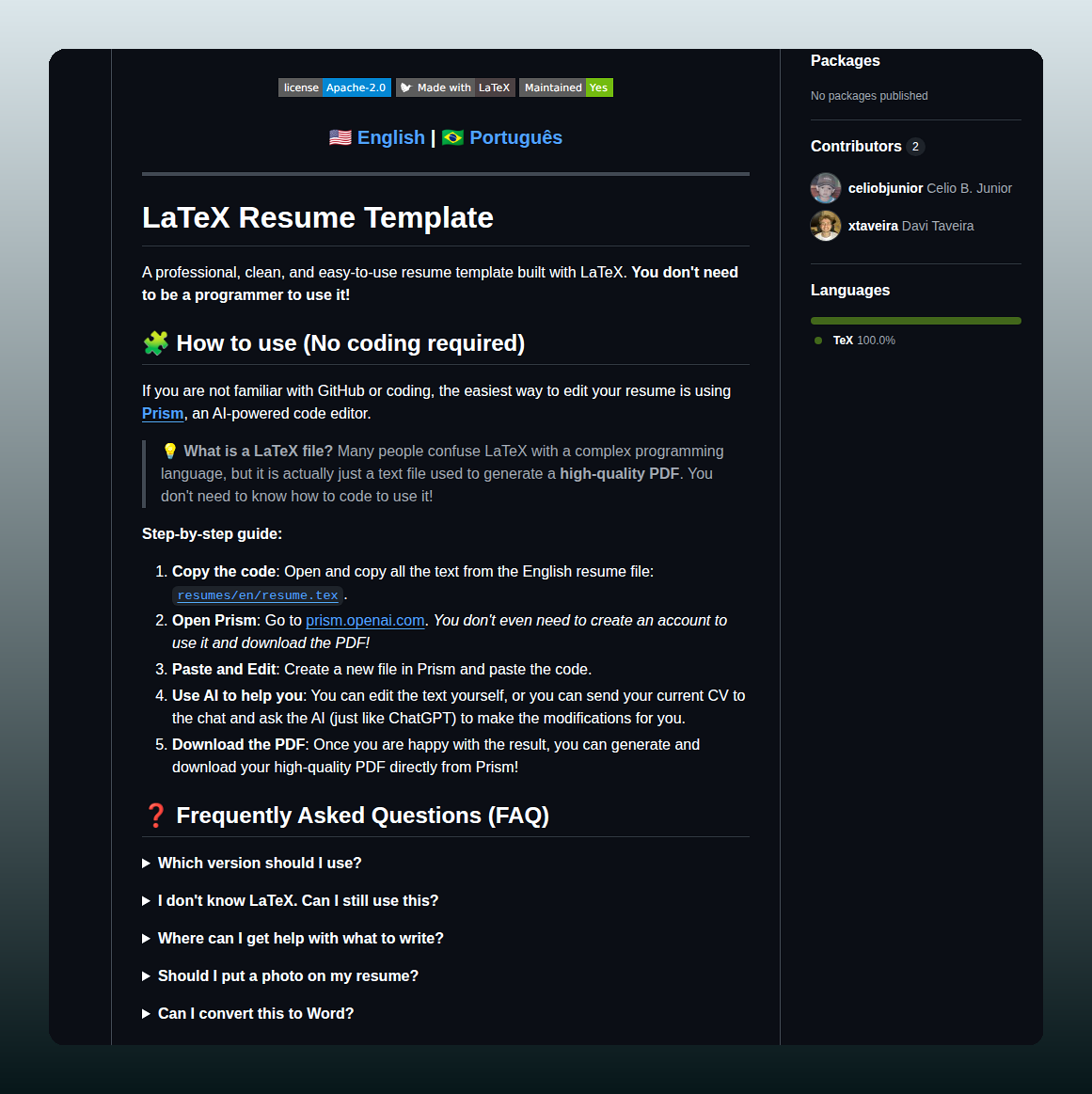 Celiobjunior Resume Template screenshot