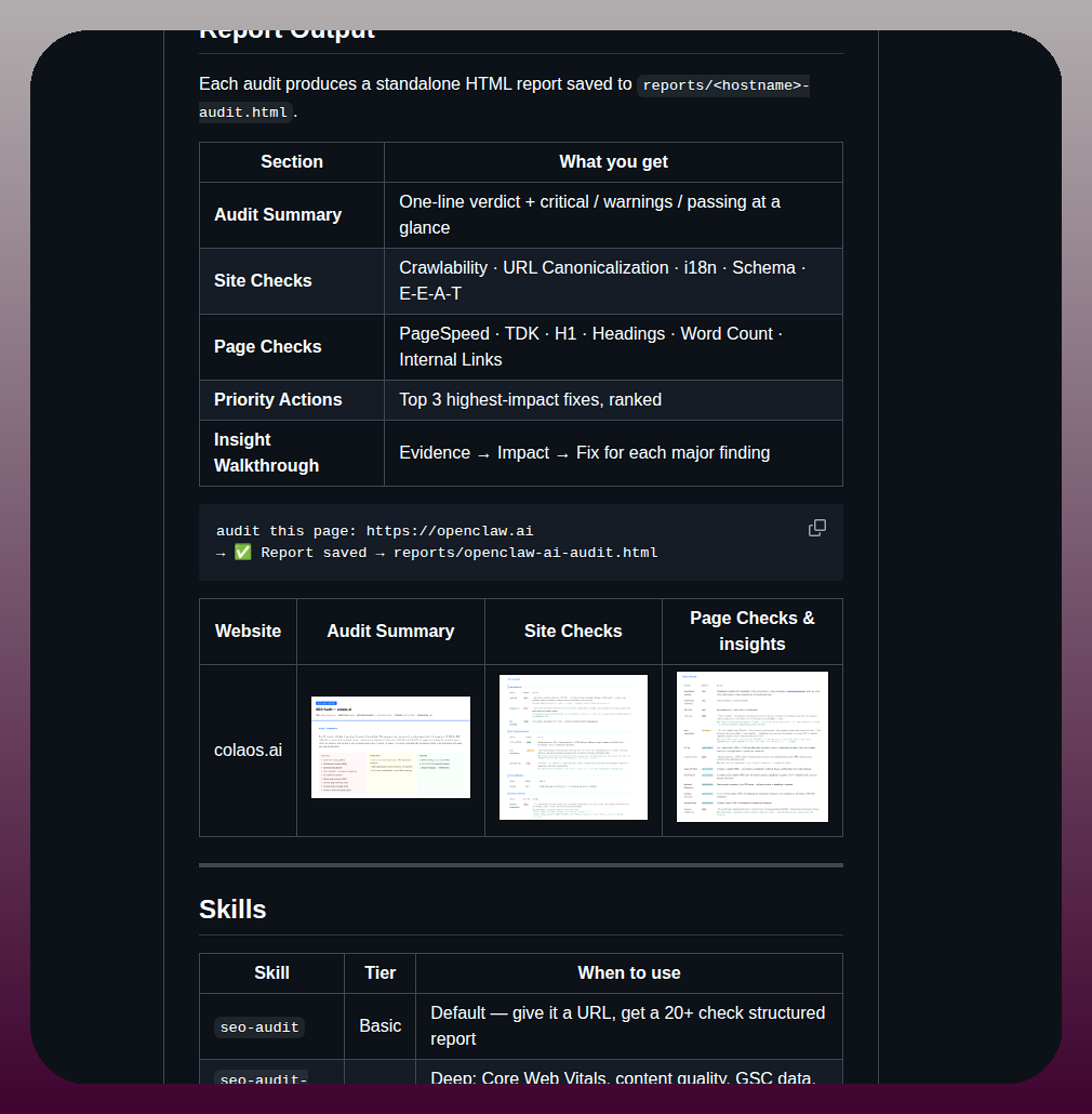 Jeffli1993 Seo Audit Skill screenshot