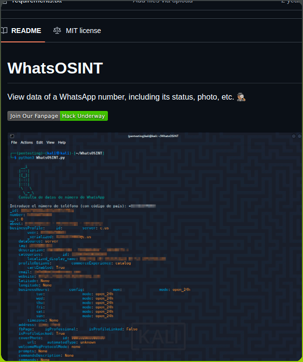 Hackunderway Whatsosint screenshot