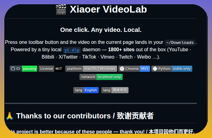 Jane Xiaoer Xiaoer Videolab screenshot