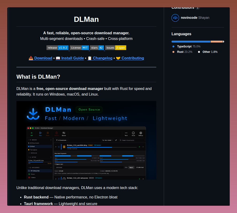 Novincode Dlman screenshot