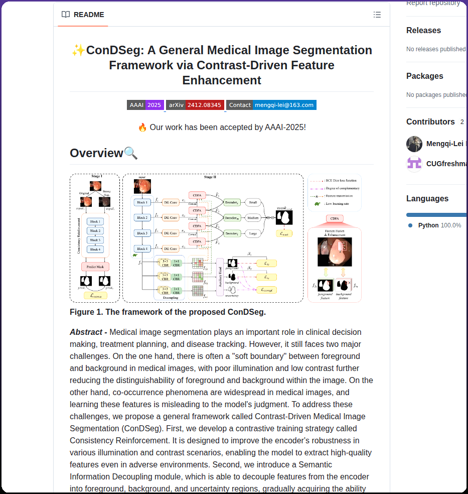 Mengqi Lei Condseg screenshot