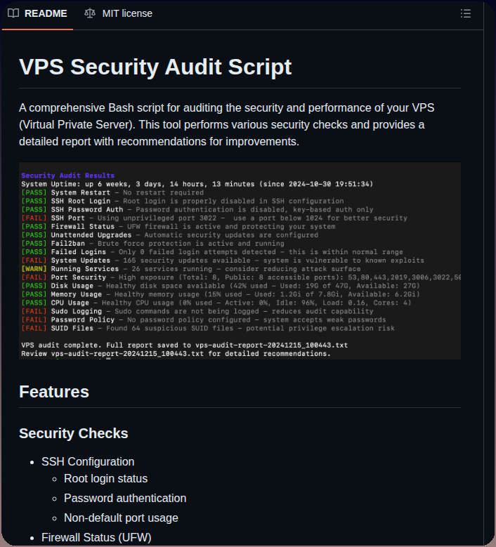 Vernu Vps Audit screenshot