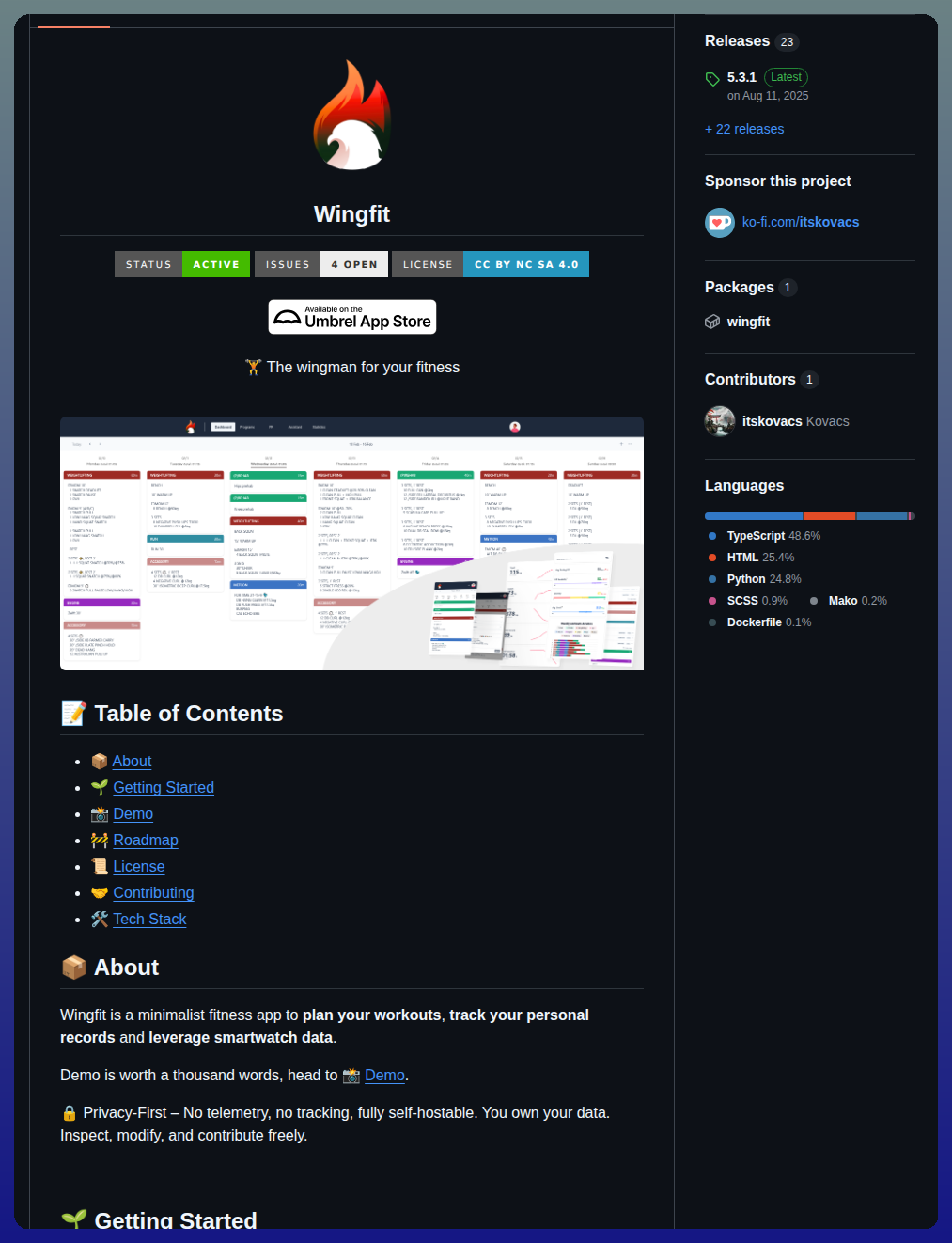 Itskovacs Wingfit screenshot