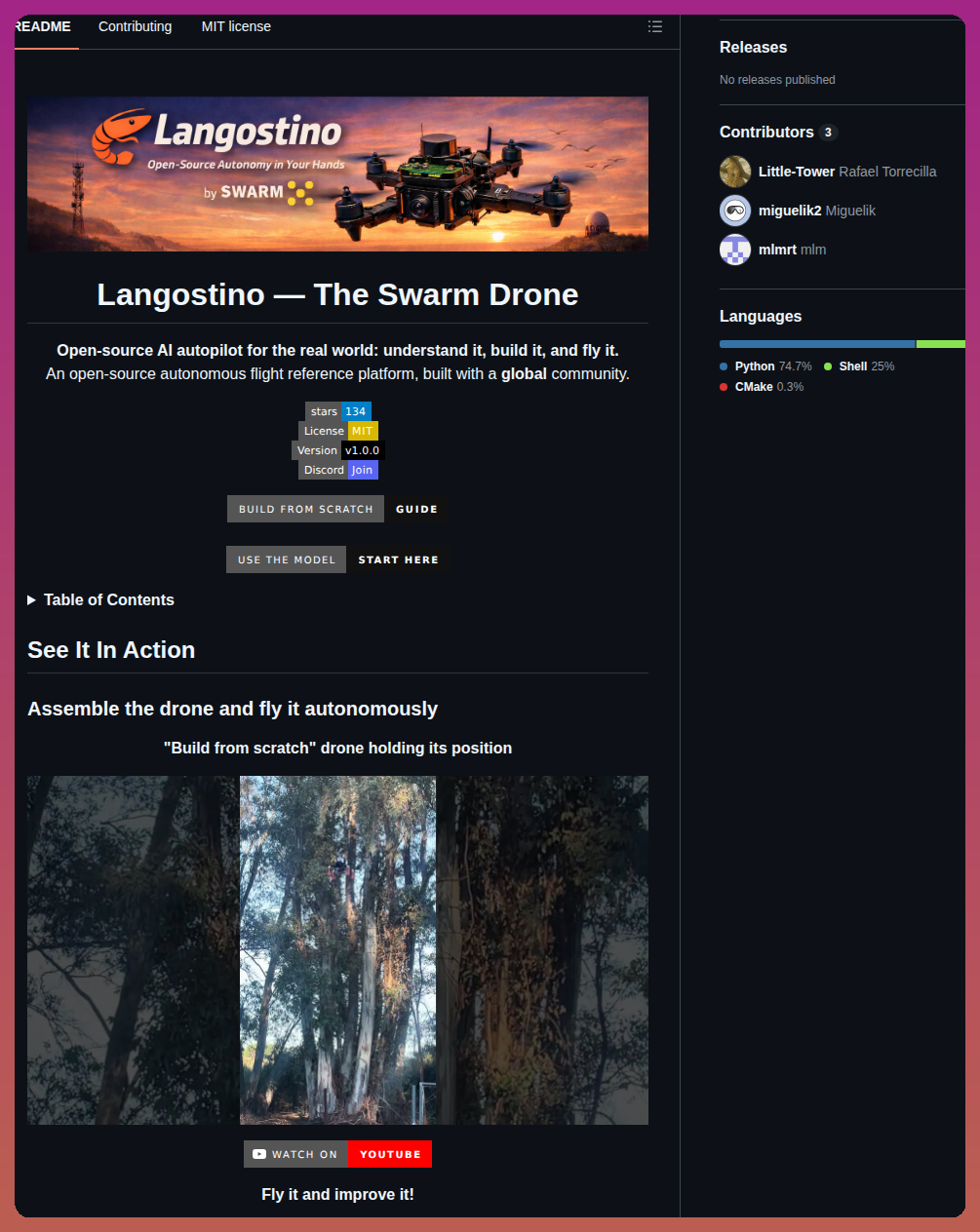 Swarm Subnet Langostino screenshot