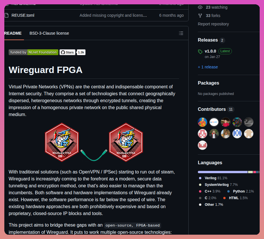 Chili Chips Ba Wireguard Fpga screenshot