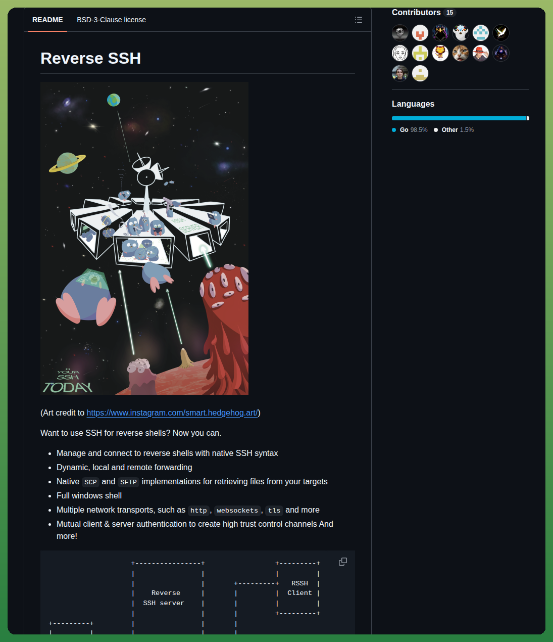 Nhas Reverse_ssh screenshot
