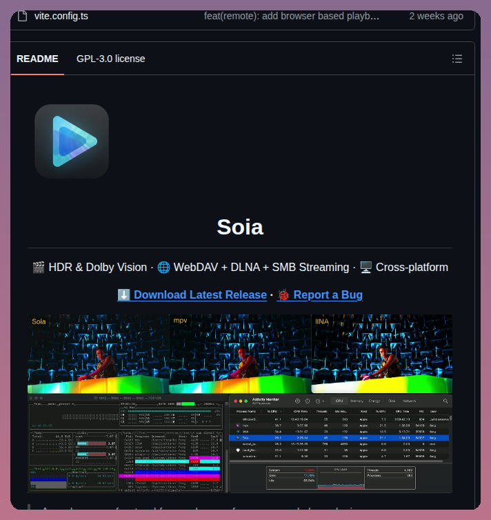 Fengzeng Soia screenshot