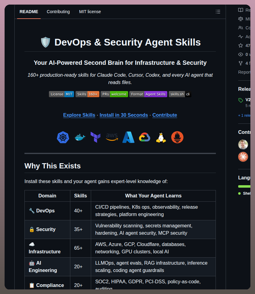 Bagelhole Devops Security Agent Skills screenshot
