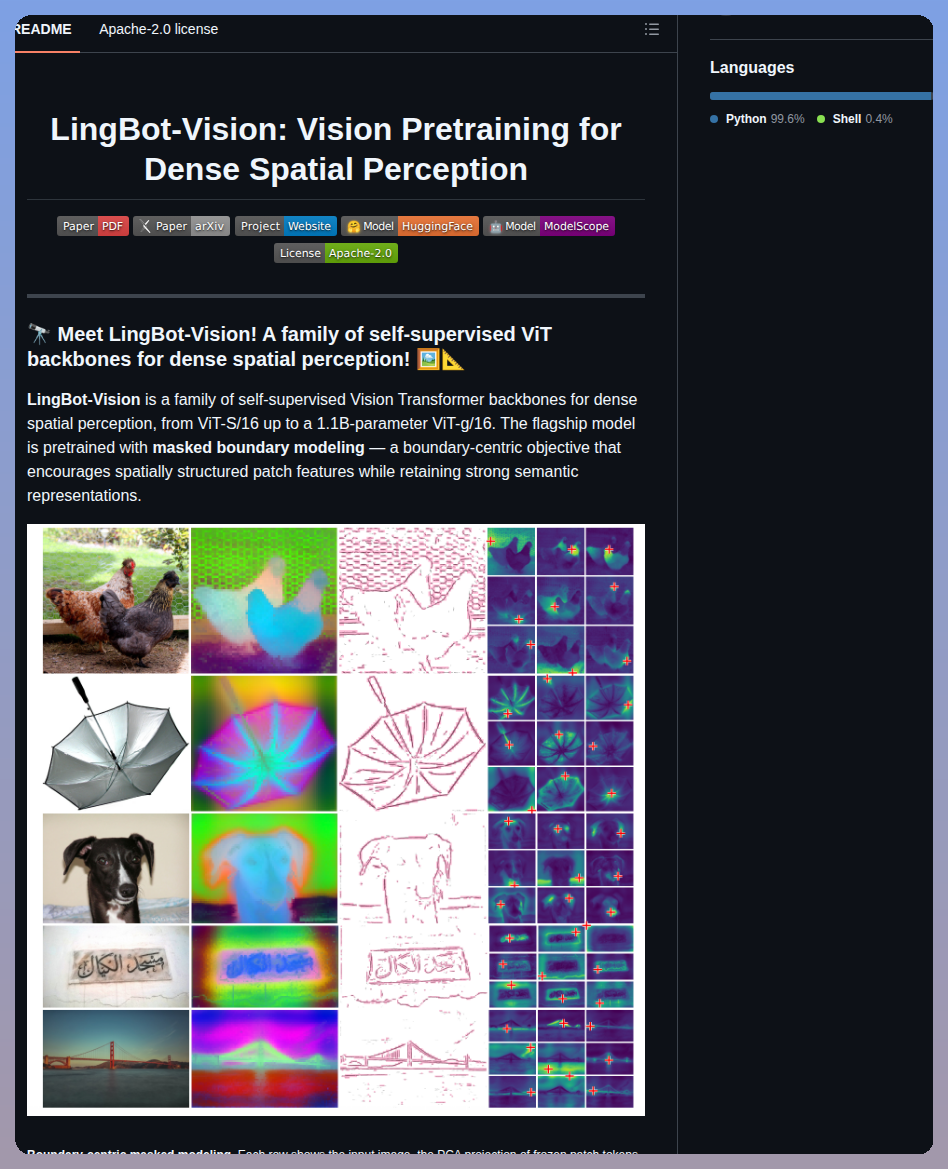 Robbyant Lingbot Vision screenshot
