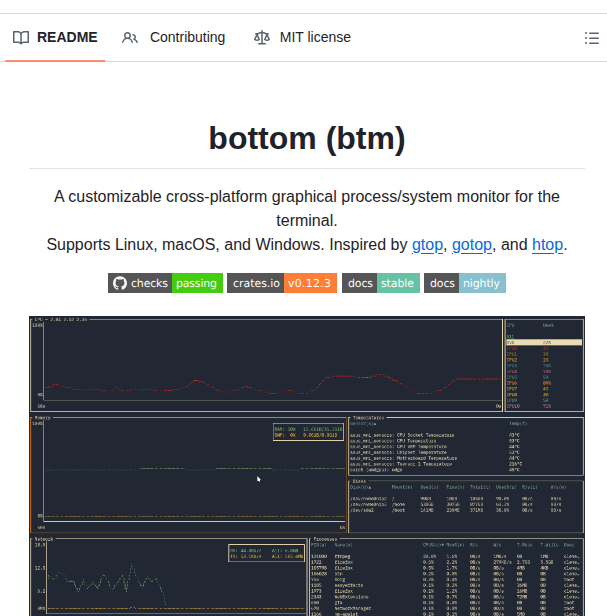 Clementtsang Bottom screenshot
