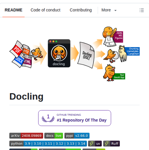 Ds4sd Docling screenshot