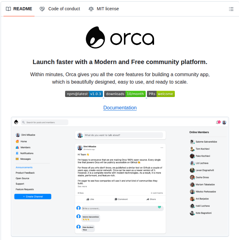 Dimimikadze Orca screenshot