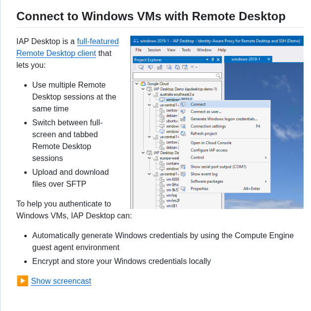 Googlecloudplatform Iap Desktop screenshot