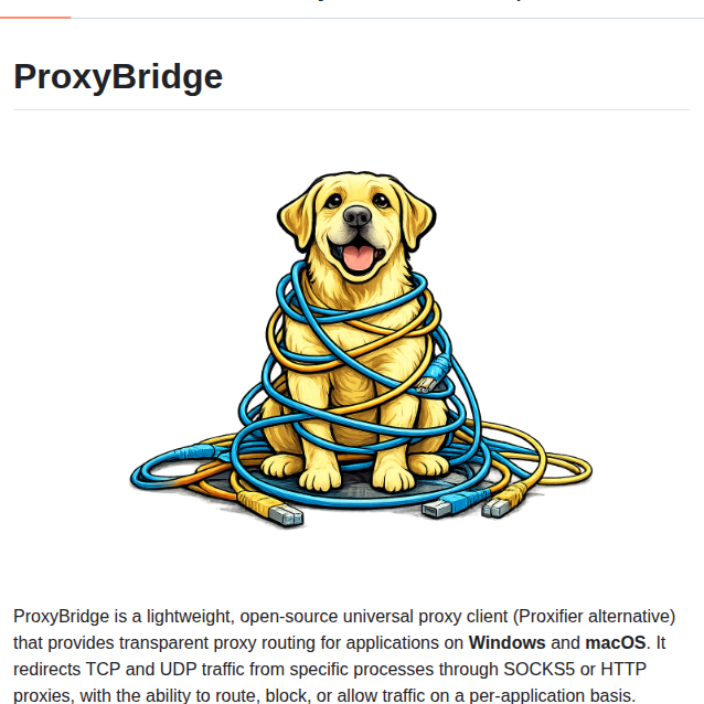 Interceptsuite Proxybridge screenshot