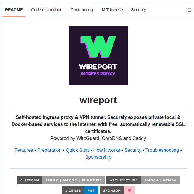 Multionlabs Wireport screenshot