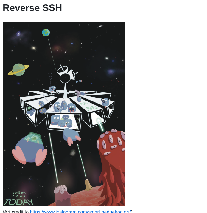 Nhas Reverse_ssh screenshot