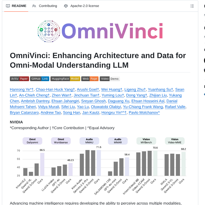 Nvlabs Omnivinci screenshot