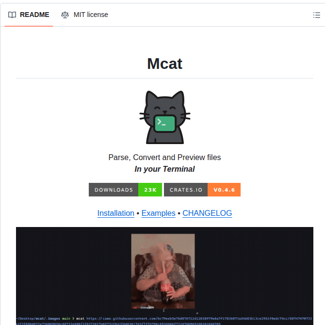 Skardyy Mcat screenshot