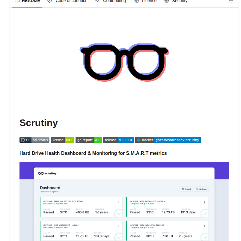 Starosdev Scrutiny screenshot