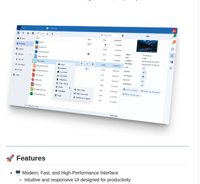 Sync In Server screenshot