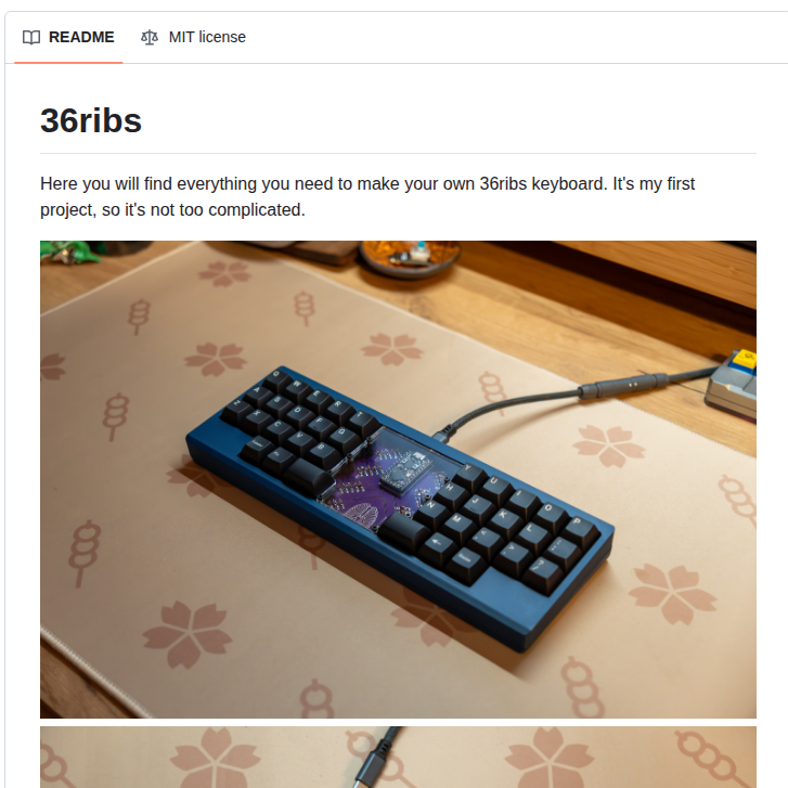 Tmrz 1 36ribs screenshot