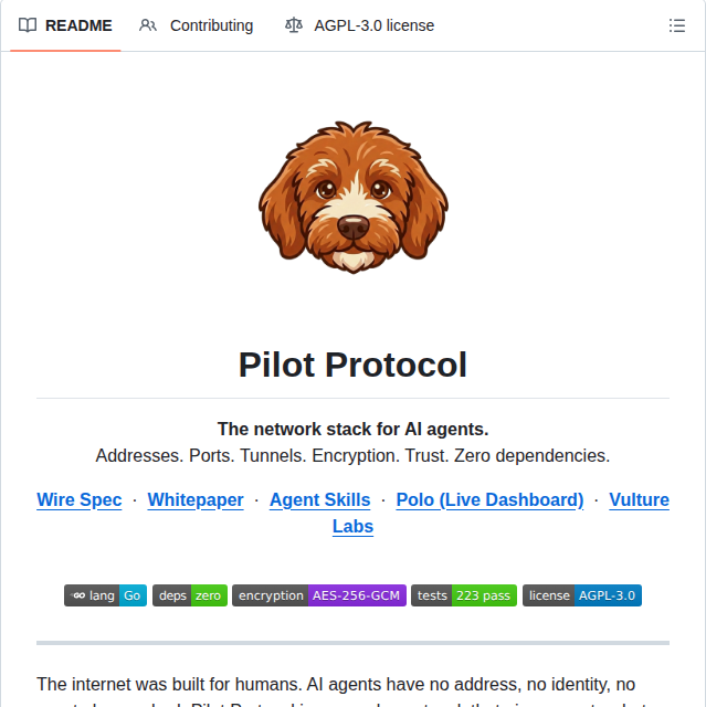 Teoslayer Pilotprotocol screenshot