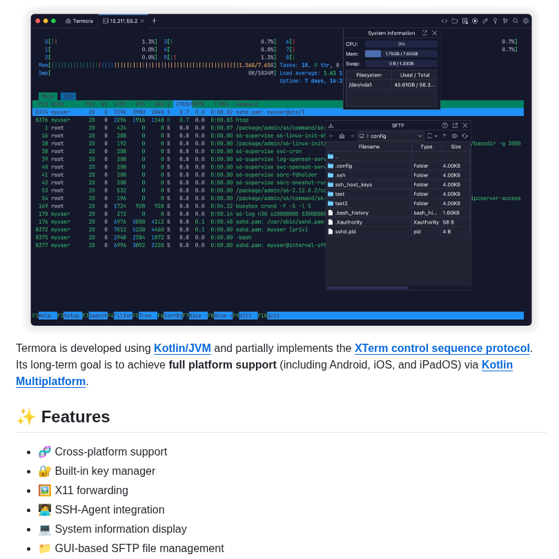 Termoradev Termora screenshot