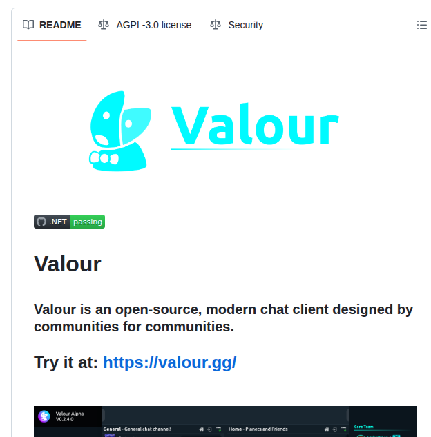 Valour Software Valour screenshot