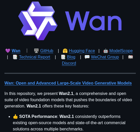 Wan Video Wan2.1 screenshot