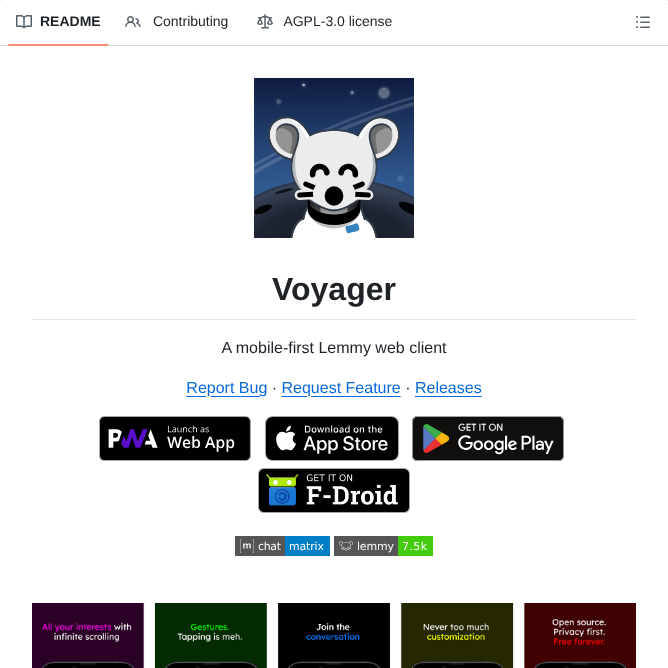 Aeharding Voyager screenshot