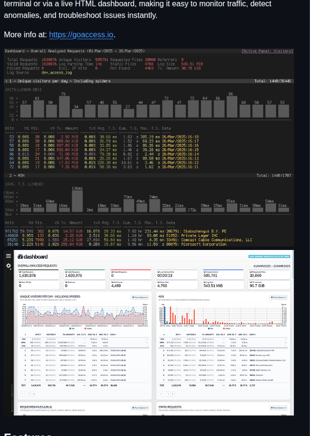 Allinurl Goaccess screenshot