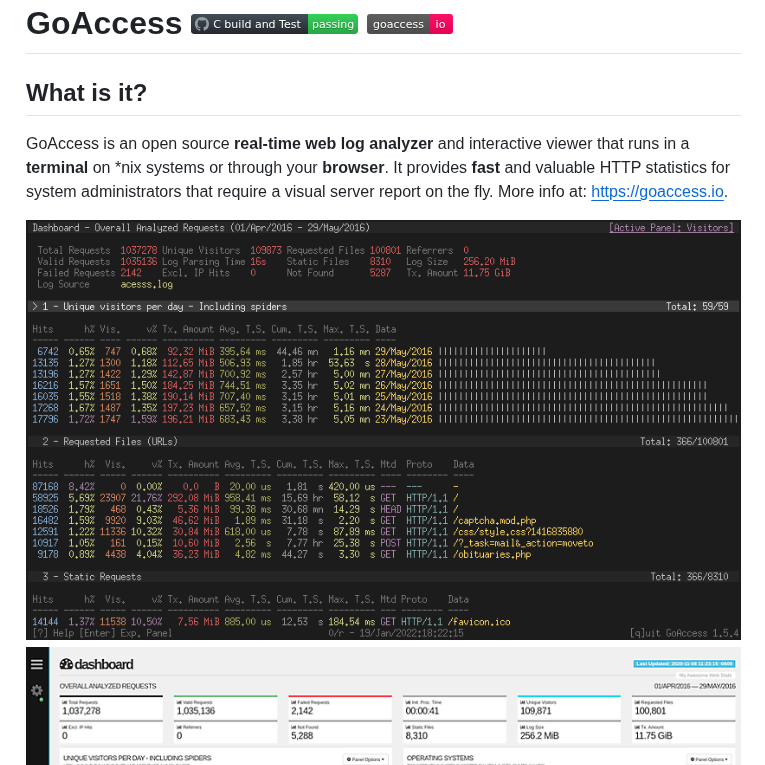 Allinurl Goaccess screenshot