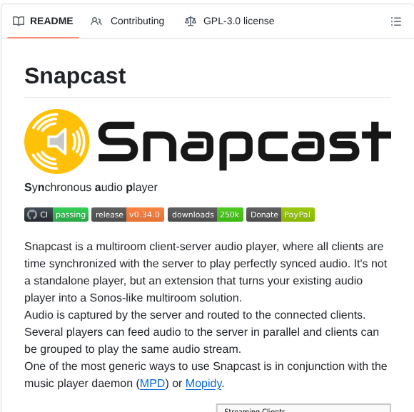 Badaix Snapcast screenshot