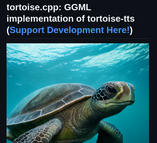 Balisujohn Tortoise.cpp screenshot