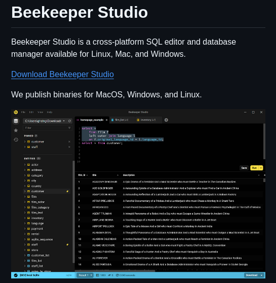 Beekeeper Studio Beekeeper Studio screenshot