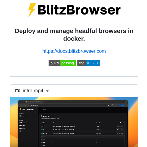 Blitzbrowser Blitzbrowser screenshot